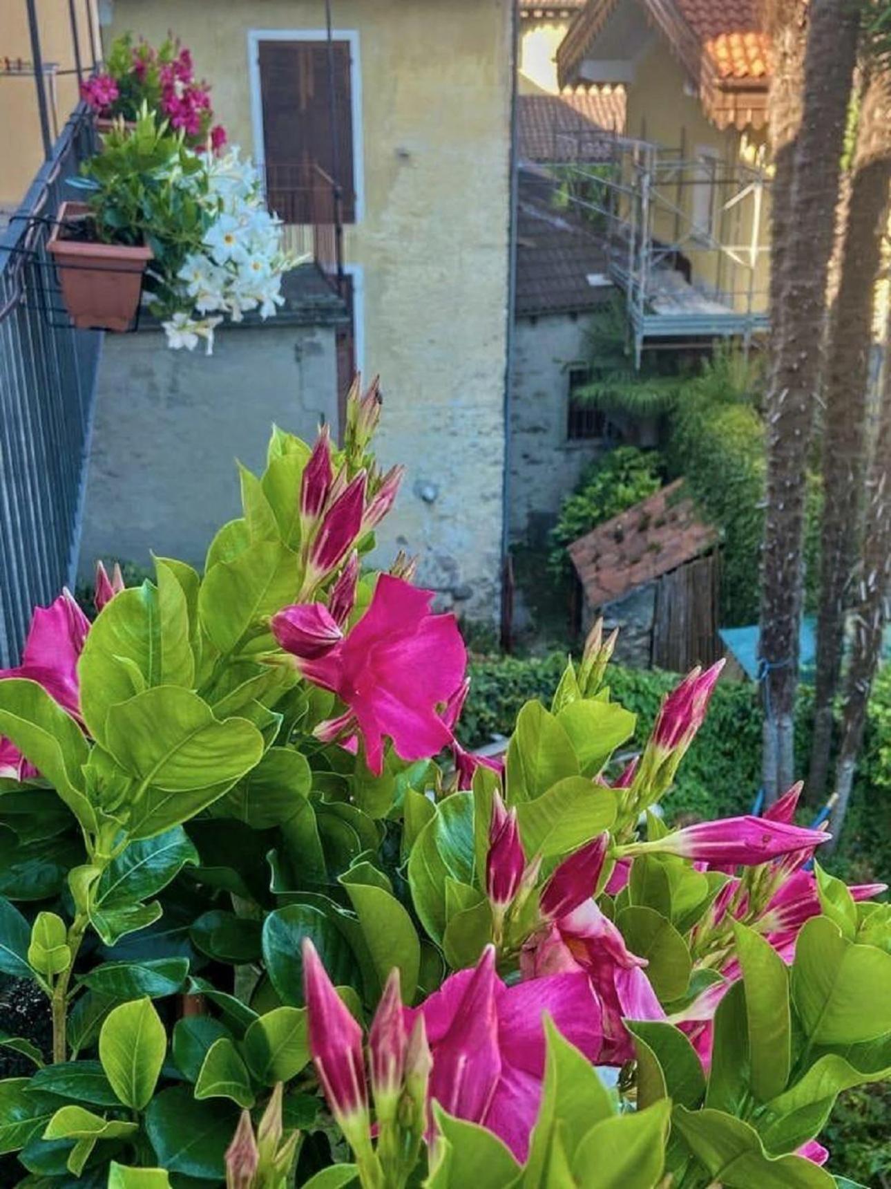 Apartament Casa Doris Oggebio Zewnętrze zdjęcie